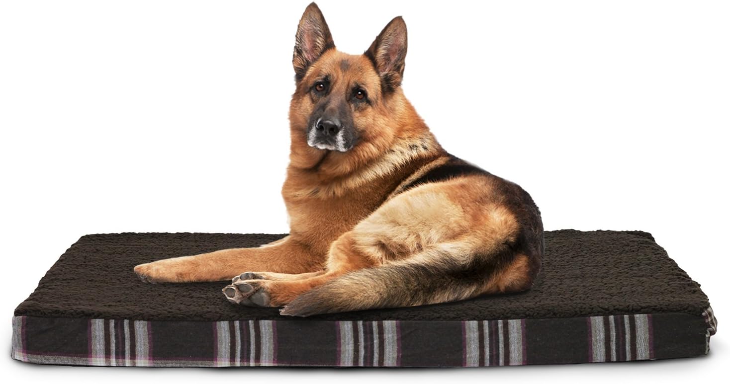 Jumbo Orthopedic Foam Pet Bed with Removable Cover W33686