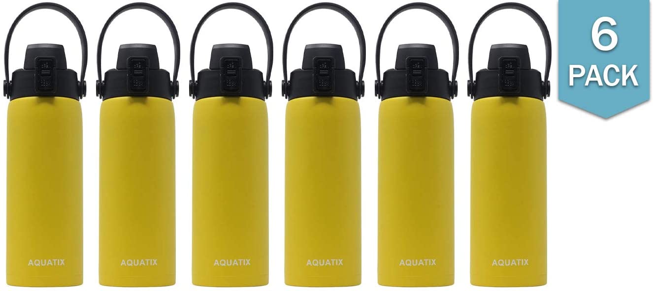 6-Pack Lemon Yellow 21 Ounce Stainless Steel Double Wall Insulated Sports Water Bottle Y76428