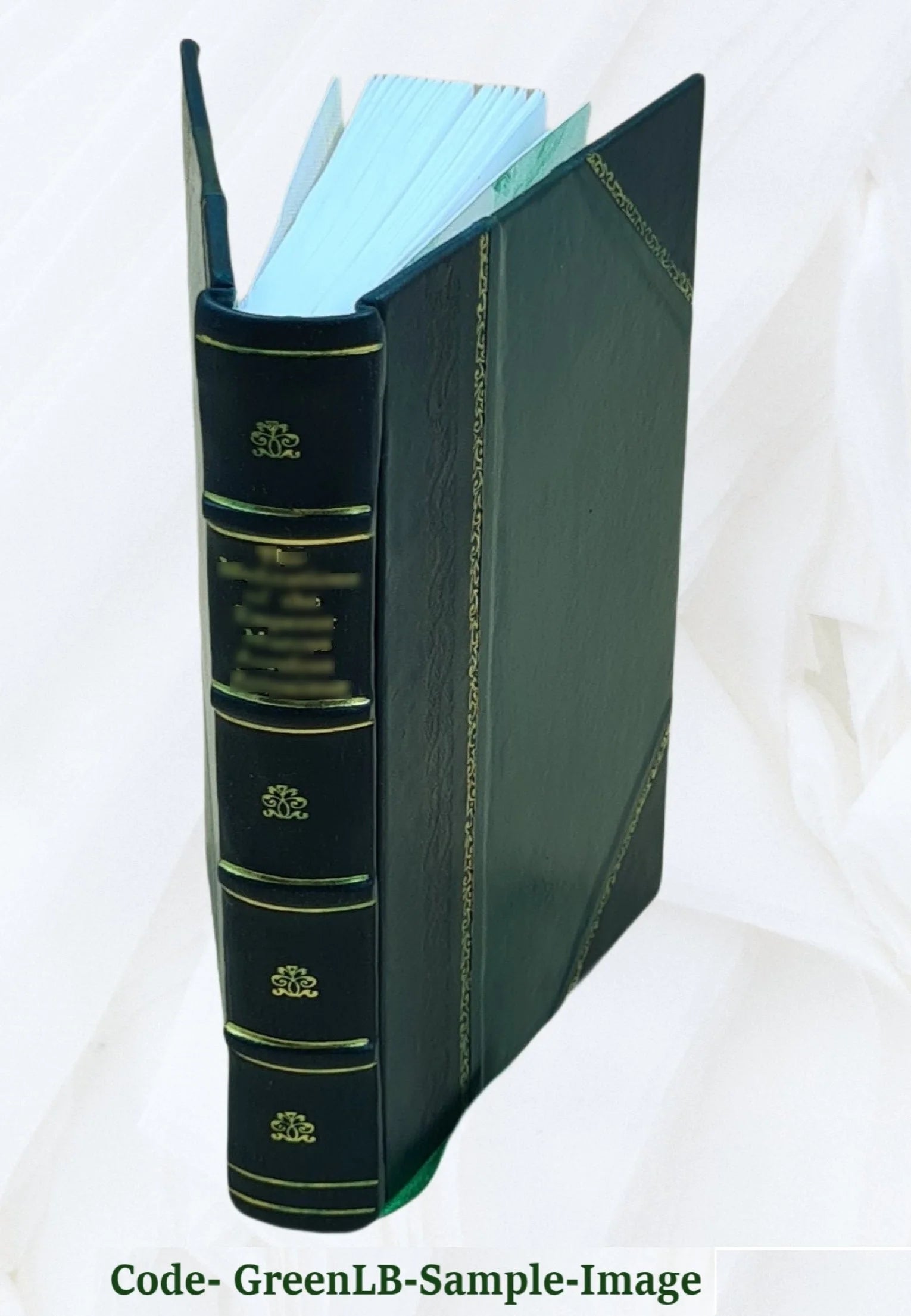 Proceedings of the Board of commissioners of the Washington Park of the city of Albany, from May 8th, 1869, to January 1st, 1876. Volume 1876/78 1884 [Leather Bound] K527499