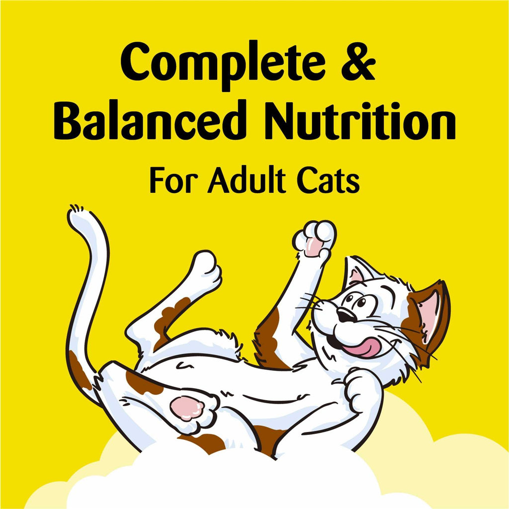 Crunchy and Soft Cat Treats U35033