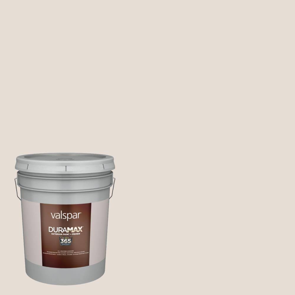 Exterior Paint (5-Gallon) N20695