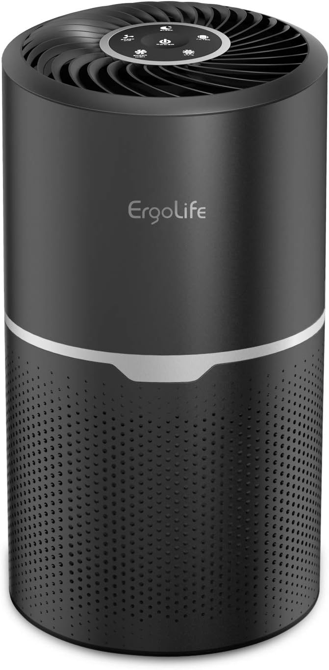 Air Purifier with True HEPA and Carbon Filter UV Light Sanitizer I648