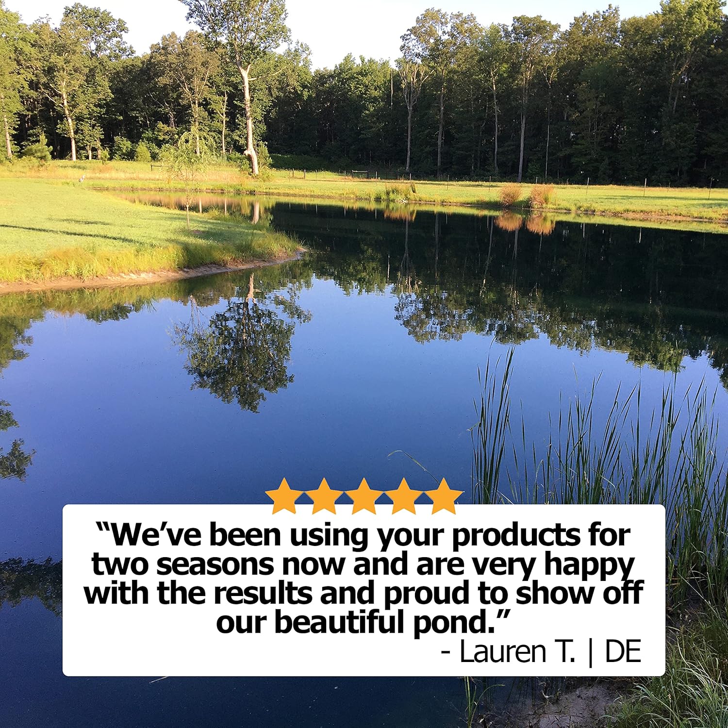 Clean Pond Maintenance Kit for 1/4 Acre I89466