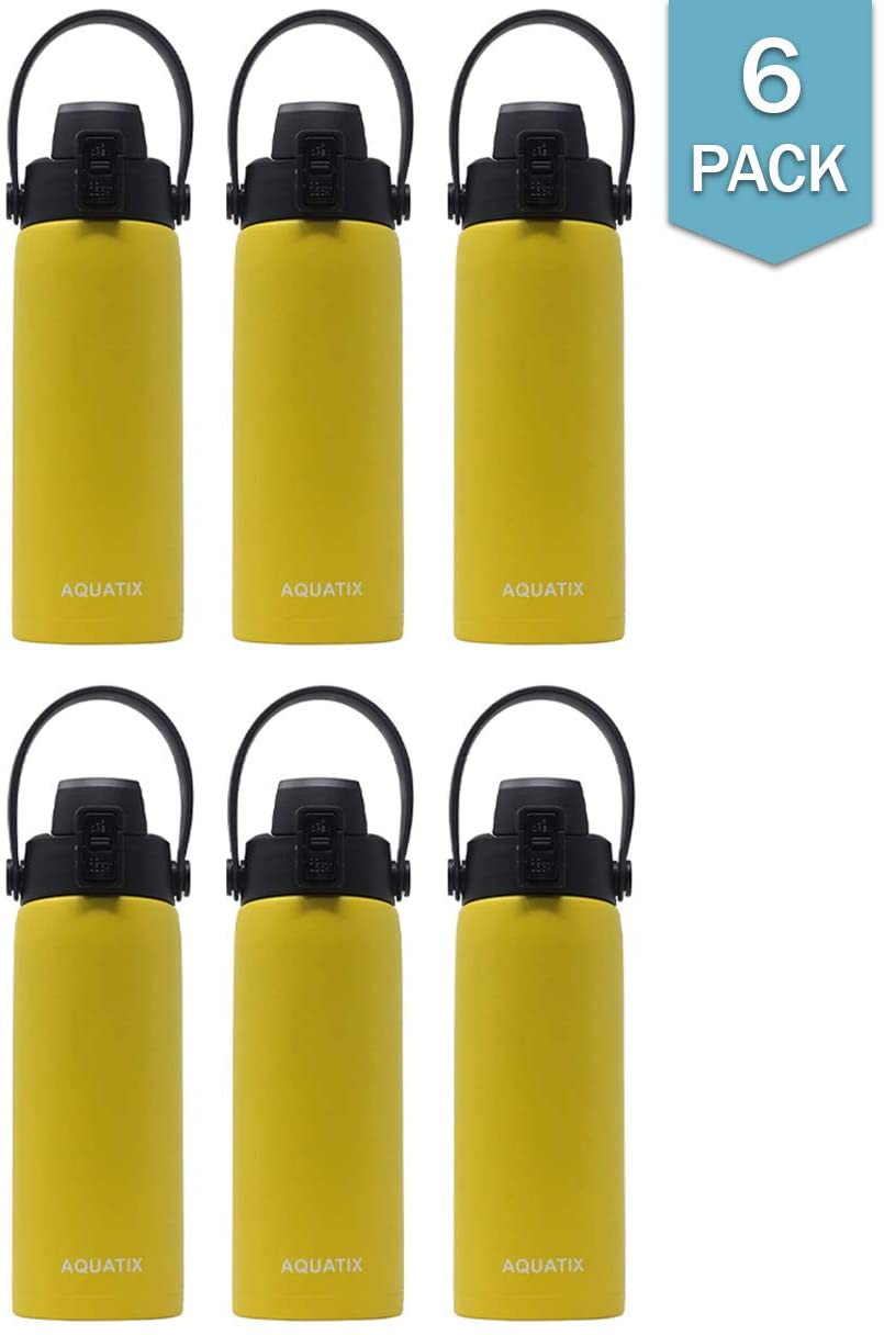 6-Pack Lemon Yellow 21 Ounce Stainless Steel Double Wall Insulated Sports Water Bottle Y76428