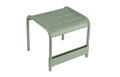 Cactus Side Table O638