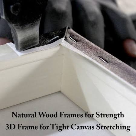 Canvas Art F360