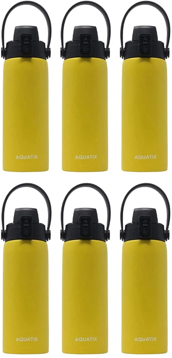 6-Pack Lemon Yellow 21 Ounce Stainless Steel Double Wall Insulated Sports Water Bottle Y76428