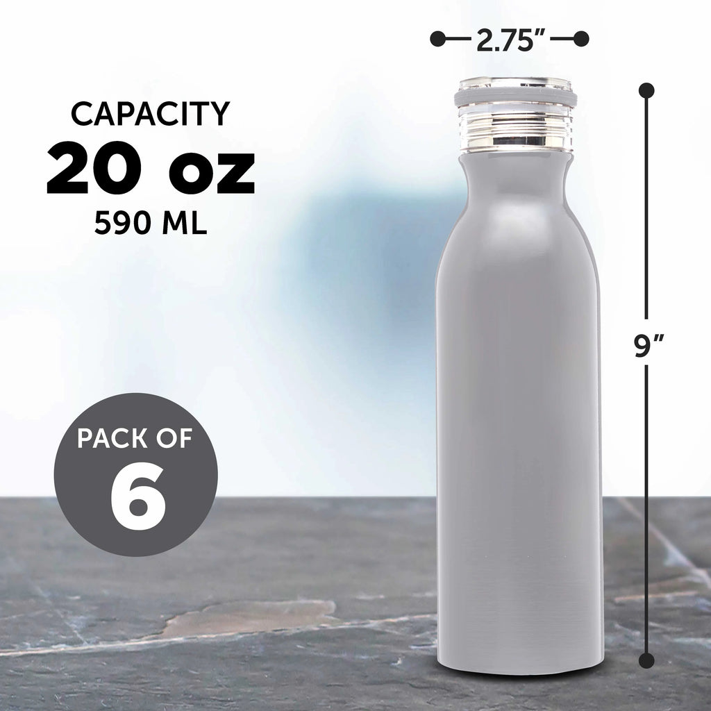 Silver 20 oz Stainless Steel Water Bottle Set of 6 A3690