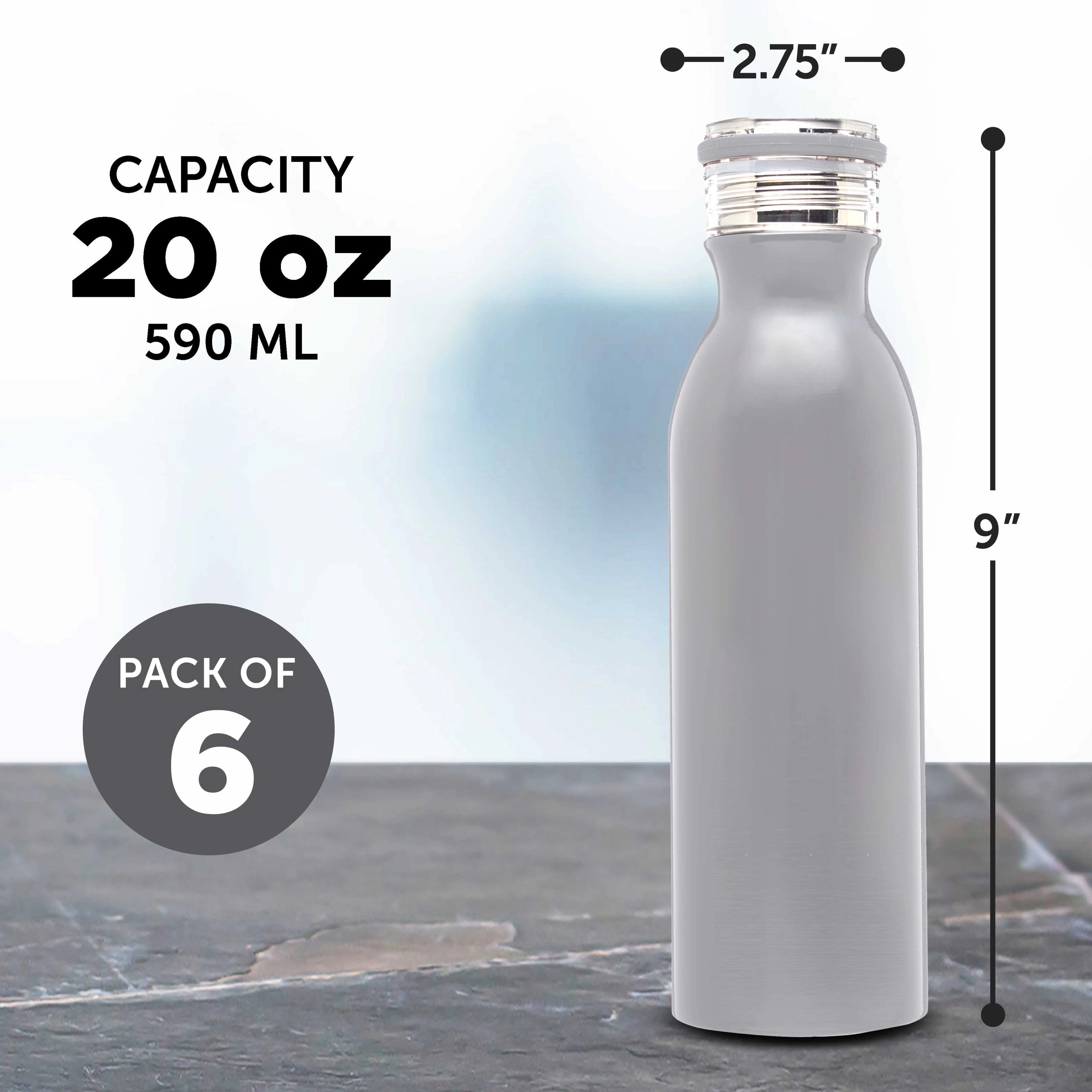 Silver 20 oz Stainless Steel Water Bottle Set of 6 A3690