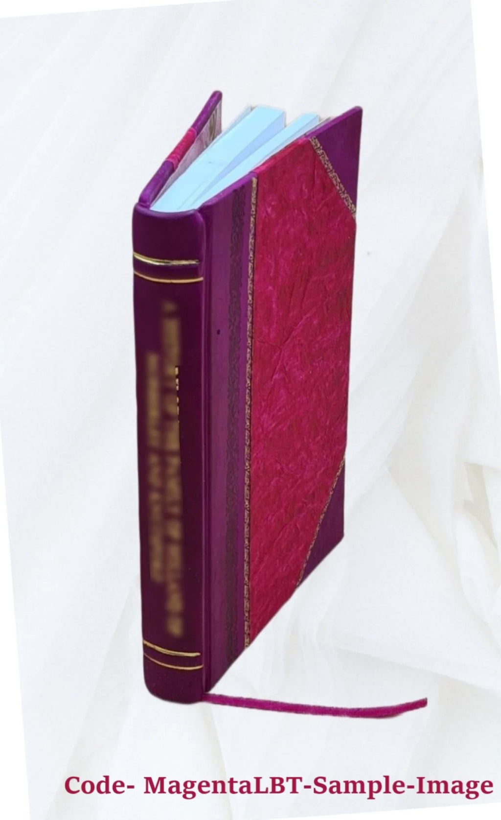 Roulette, The Volume 1920 [Leather Bound] C98148