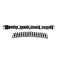 Cam and Lifter Kit U74915
