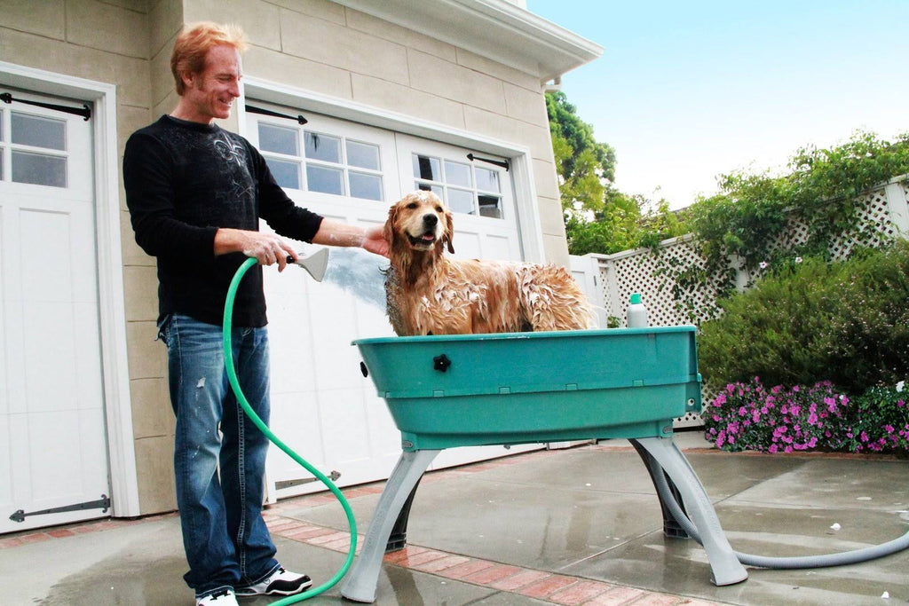 Elevated Pet Bathing Large Q223551
