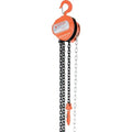 Hand Chain Hoist T819963