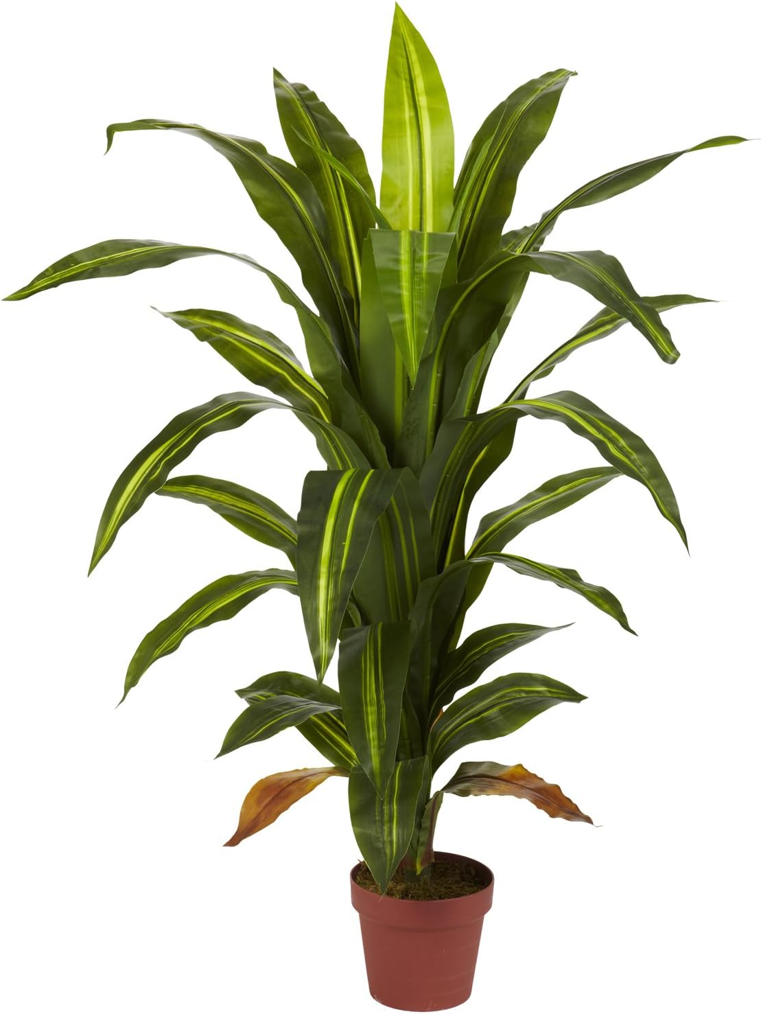Silk Plant with Stand, 57-Inch, Green K52633