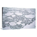 Sea Ice, Pancake Ice Forming Between Older Floes, Cape Adare, Antarctica Art Print V8499