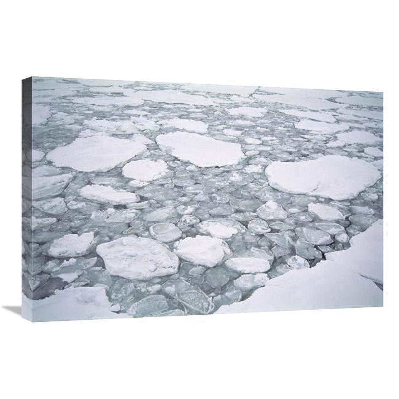 Sea Ice, Pancake Ice Forming Between Older Floes, Cape Adare, Antarctica Art Print V8499