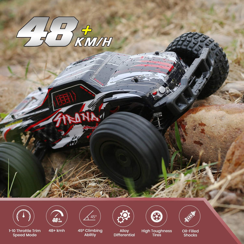 Large Hobby RC Car, 48 KM/H 1:10 Scale 4WD 2.4GHz Off Road Monster Truck Toy, 2 Batteries C549