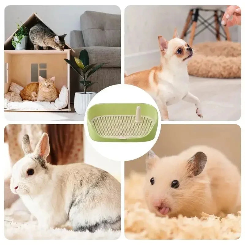 Portable Dog Training Toilet with Puppy Pad Holder Tray C945189