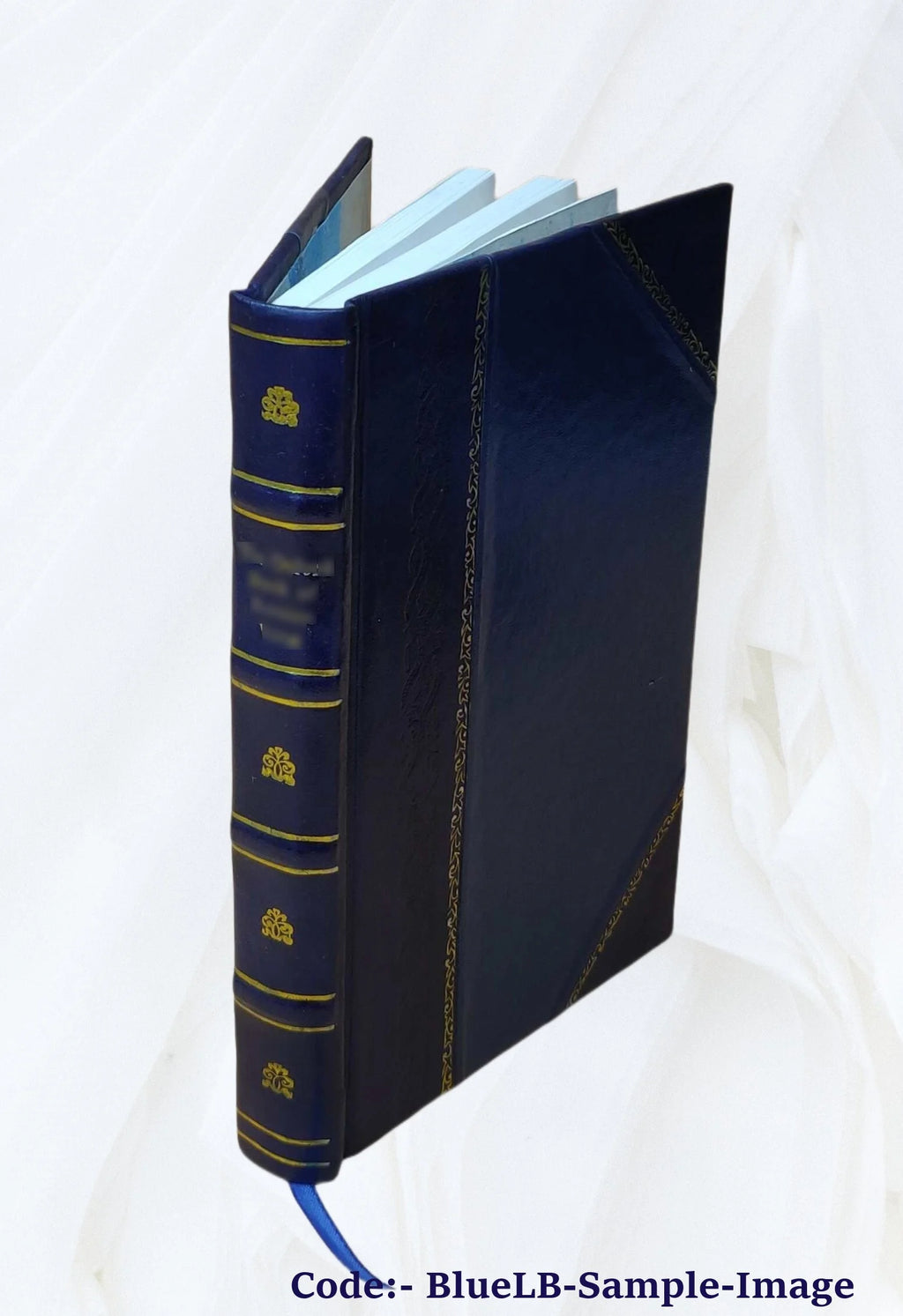 Proceedings of the Board of commissioners of the Washington Park of the city of Albany, from May 8th, 1869, to January 1st, 1876. Volume 1876/78 1884 [Leather Bound] K527499
