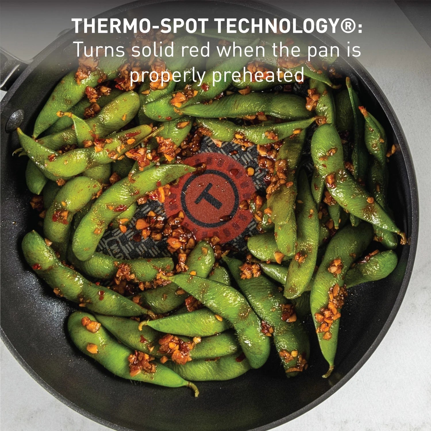 12 inch Hard Anodized Non-Stick Fry Pan with Lid Z572