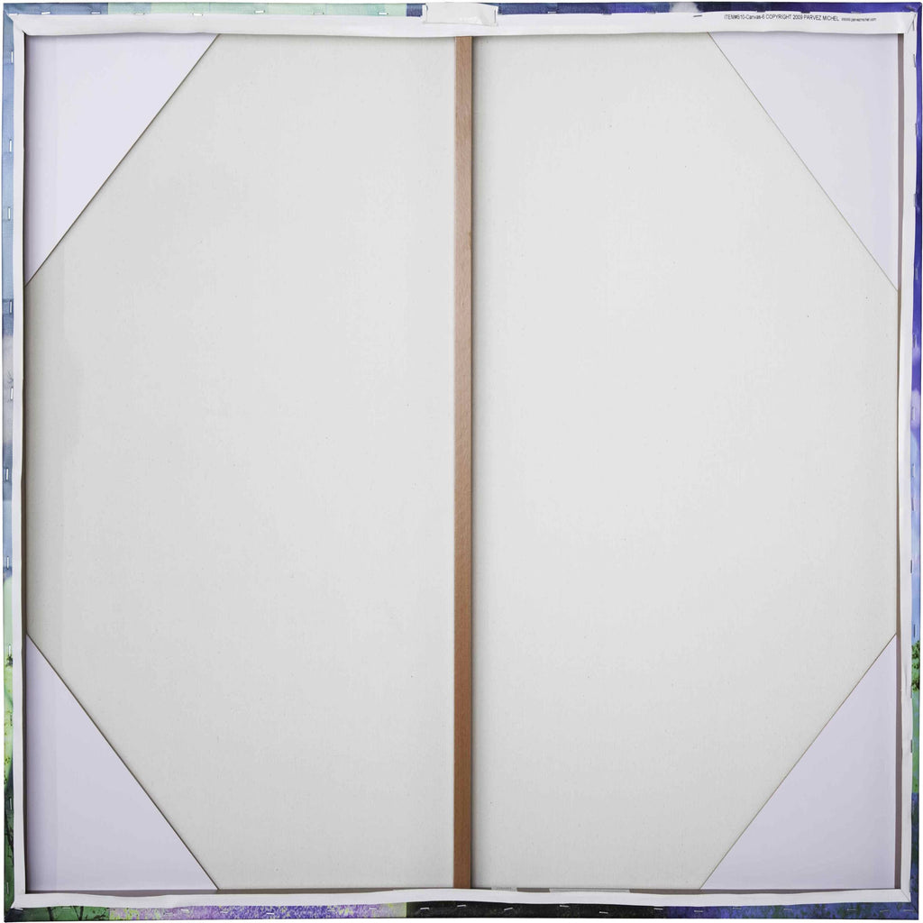18 x 18 Canvas Art B39024