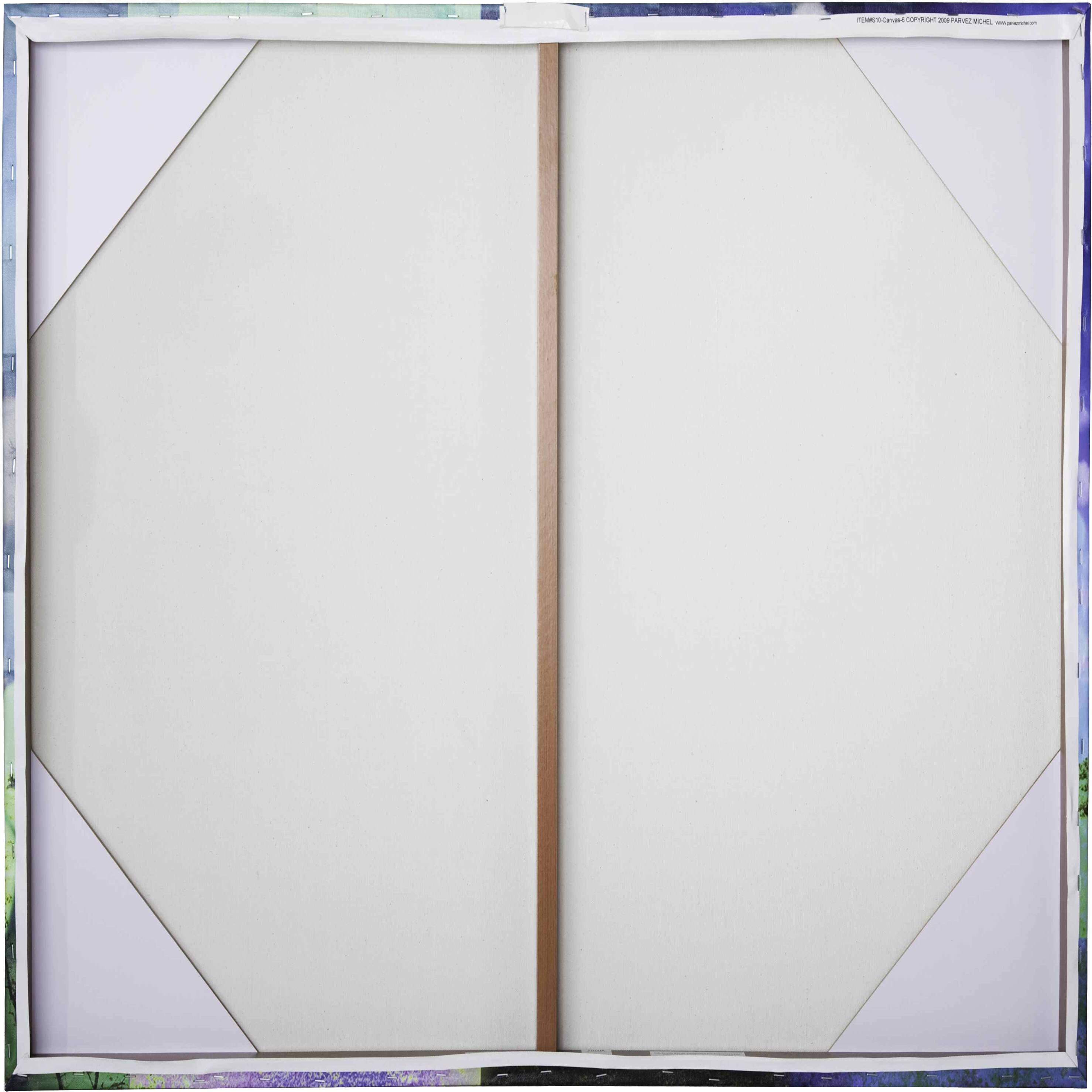 18 x 18 Canvas Art B39024