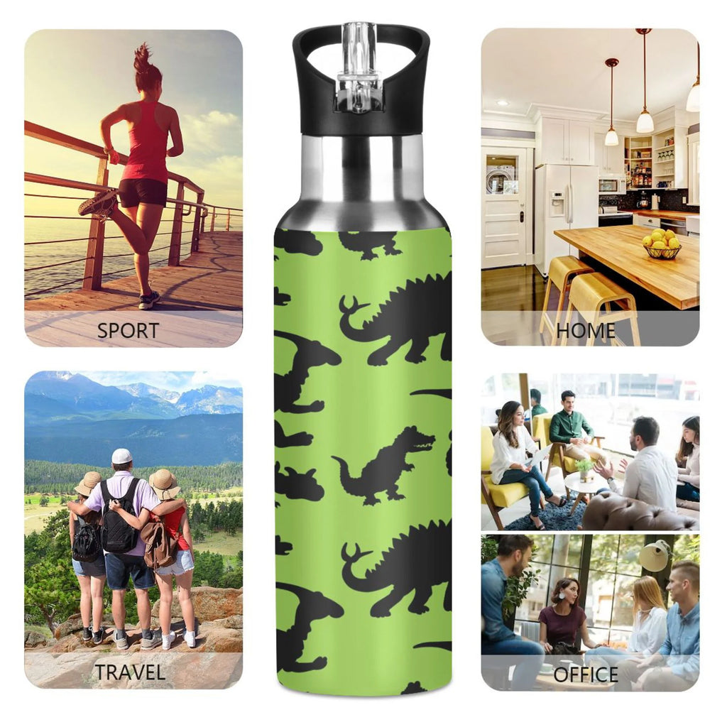Stainless Steel Vacuum Insulated Water Bottle with Straw Lid 20 OZ T7248