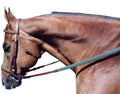 Leather Padded Flat Bridle COB Oakbark/Grn E331