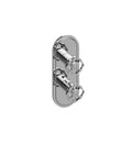 Polished Nickel Two Hole Vertical Trim Plate with Cross Handles W162104