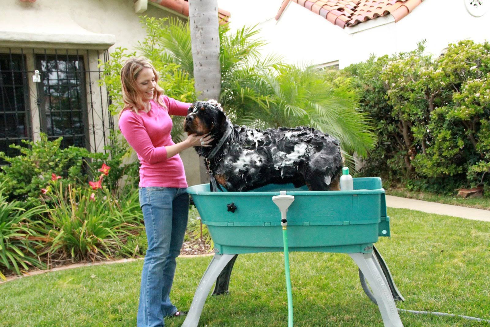 Elevated Pet Bathing Large Q223551