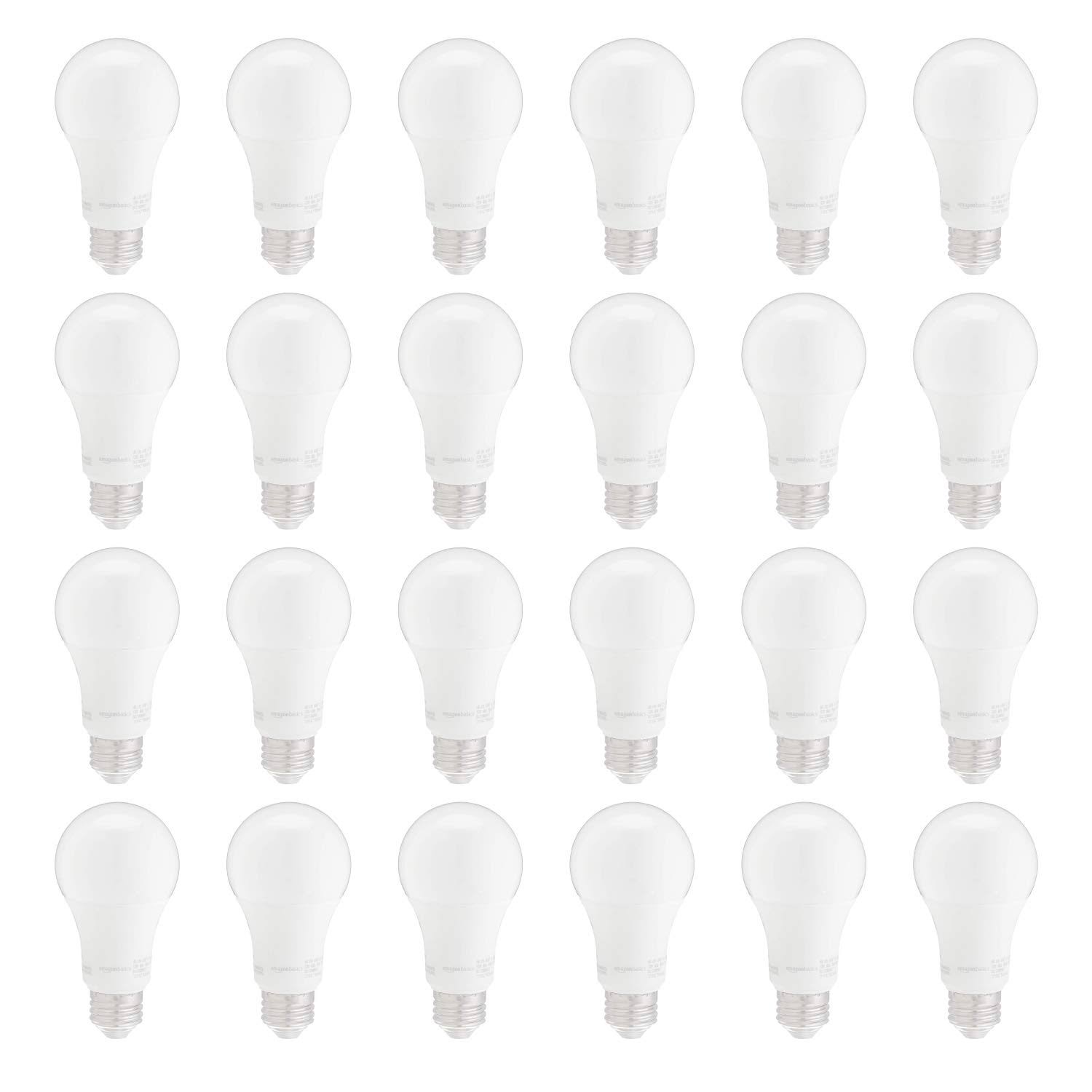 24-Pack A19 LED Light Bulb S995675