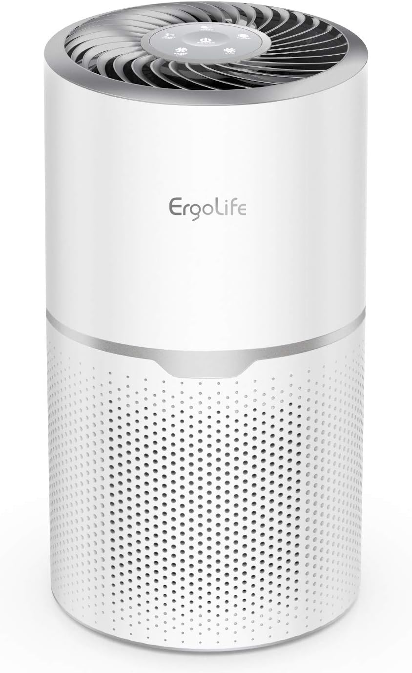 Air Purifier with True HEPA and Carbon Filter UV Light Sanitizer I648
