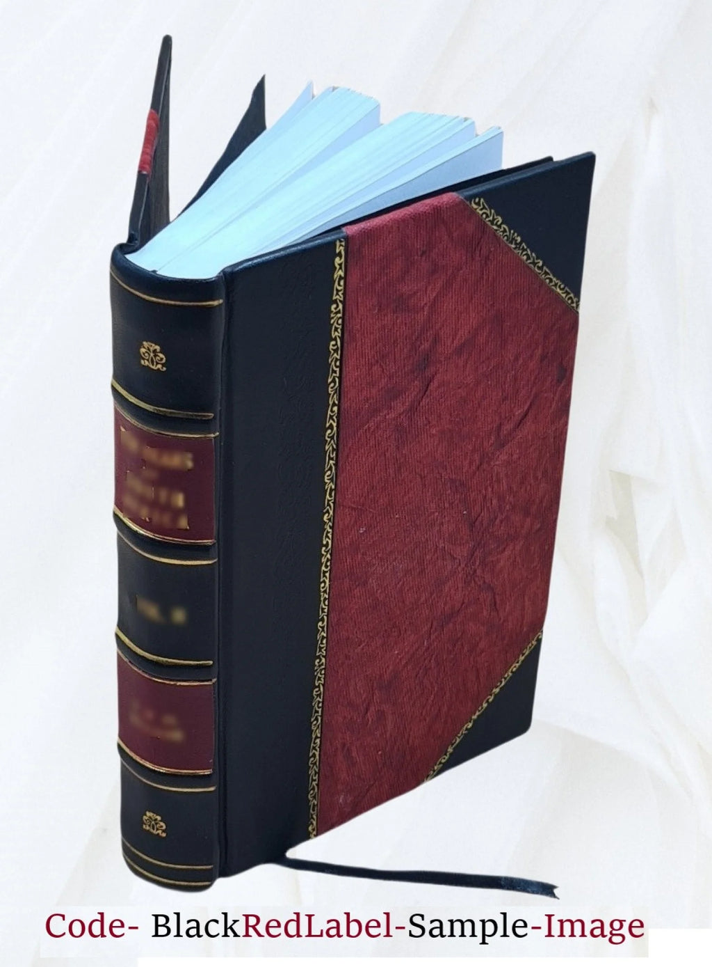 Proceedings of the Board of commissioners of the Washington Park of the city of Albany, from May 8th, 1869, to January 1st, 1876. Volume 1876/78 1884 [Leather Bound] K527499