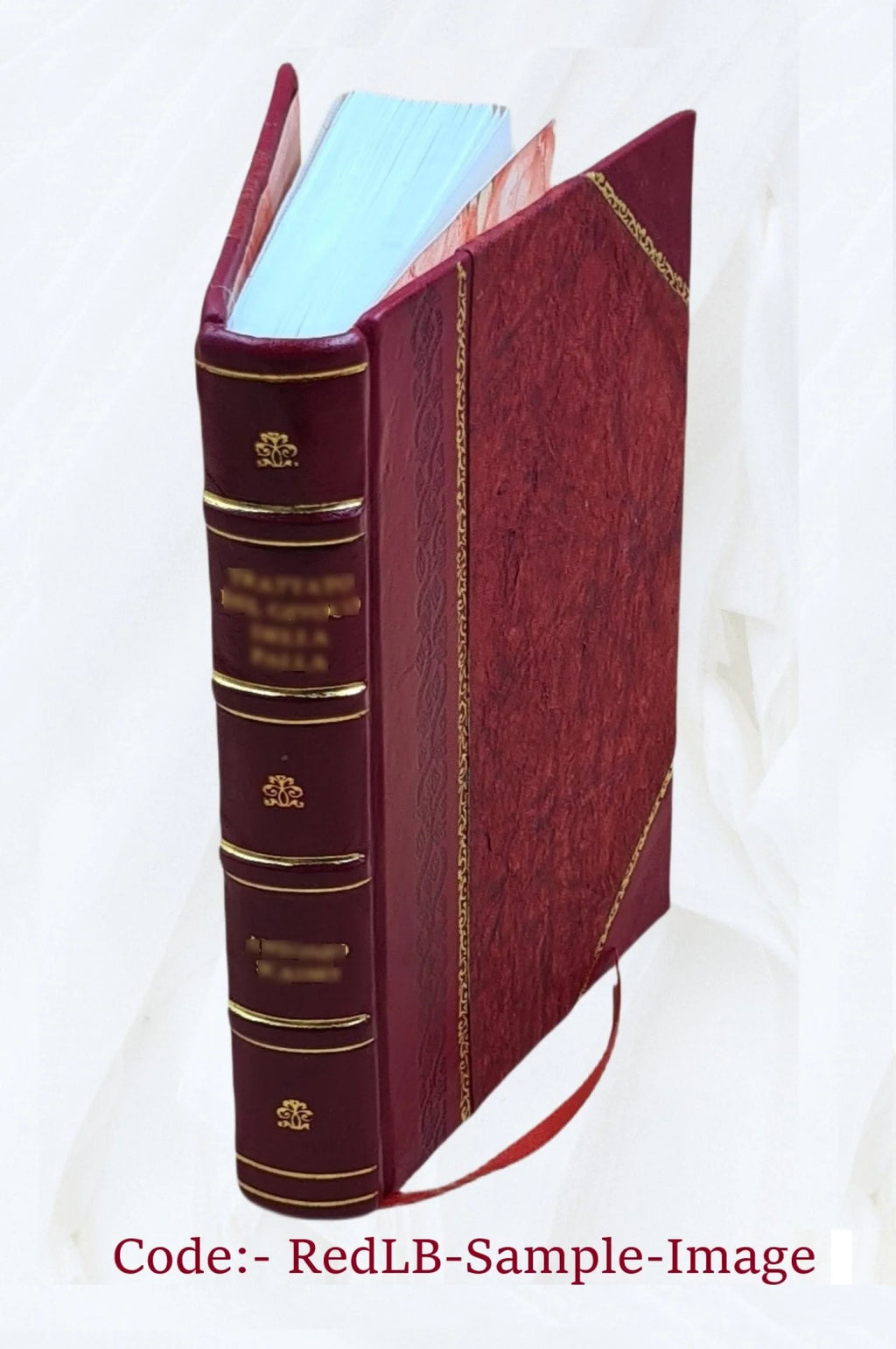 Proceedings of the Board of commissioners of the Washington Park of the city of Albany, from May 8th, 1869, to January 1st, 1876. Volume 1876/78 1884 [Leather Bound] K527499